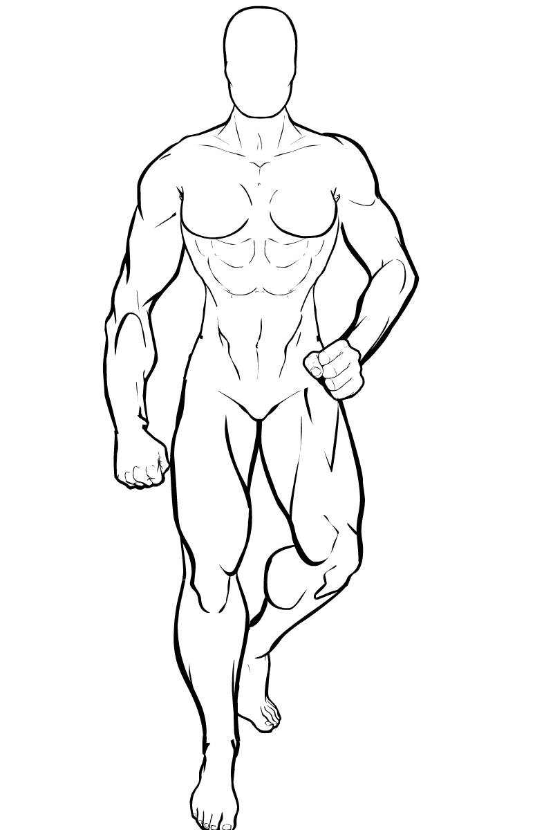 body line drawing